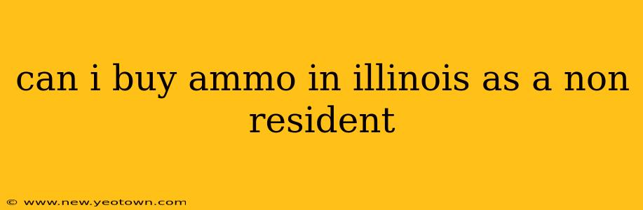 can i buy ammo in illinois as a non resident