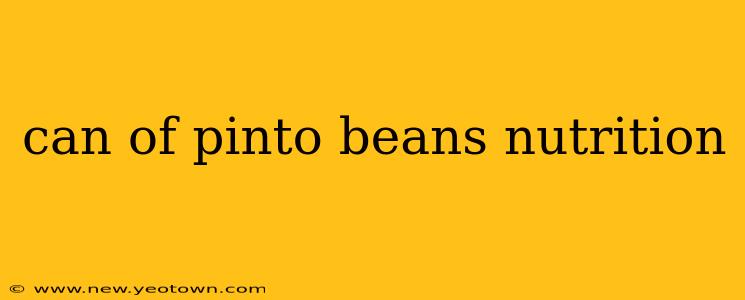 can of pinto beans nutrition
