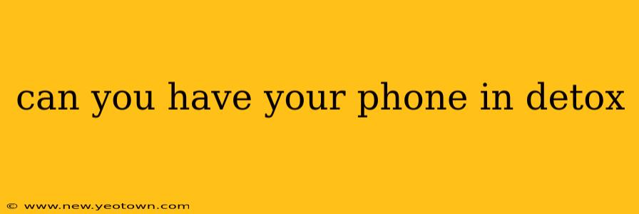 can you have your phone in detox