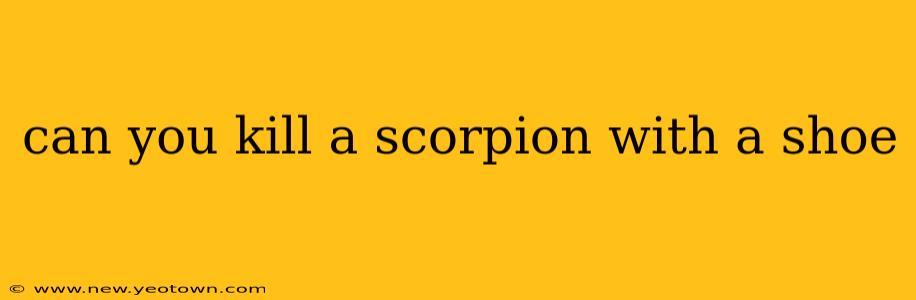 can you kill a scorpion with a shoe