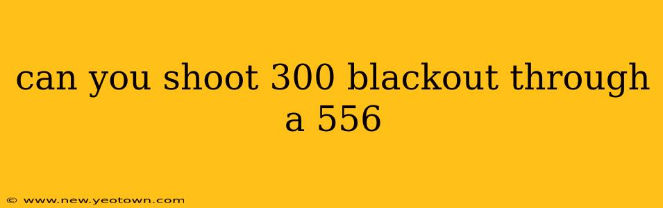 can you shoot 300 blackout through a 556