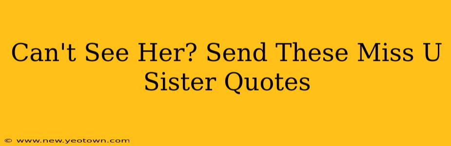 Can't See Her? Send These Miss U Sister Quotes