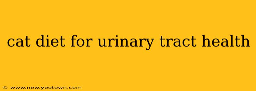 cat diet for urinary tract health