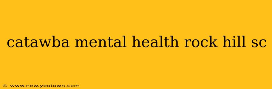 catawba mental health rock hill sc