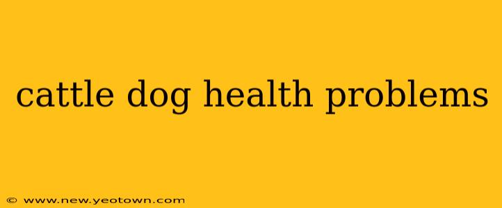 cattle dog health problems