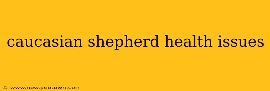 caucasian shepherd health issues