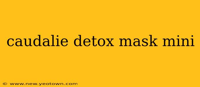 caudalie detox mask mini