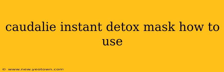 caudalie instant detox mask how to use