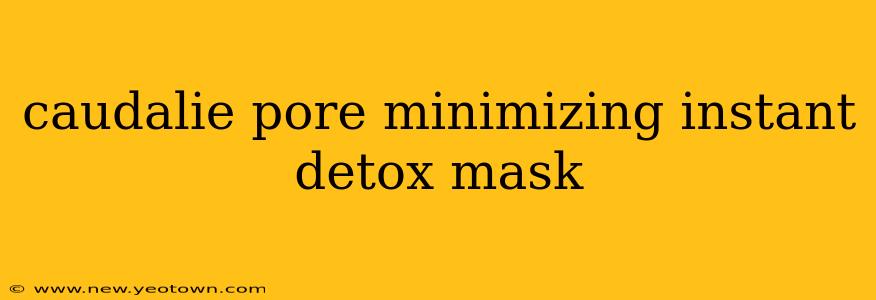 caudalie pore minimizing instant detox mask