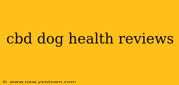 cbd dog health reviews
