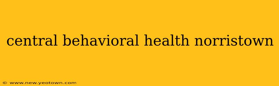central behavioral health norristown