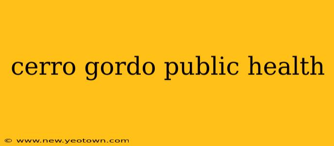 cerro gordo public health