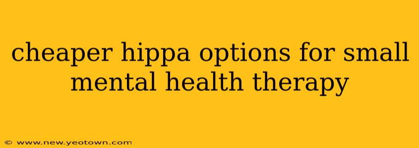 cheaper hippa options for small mental health therapy