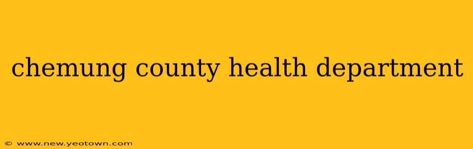 chemung county health department