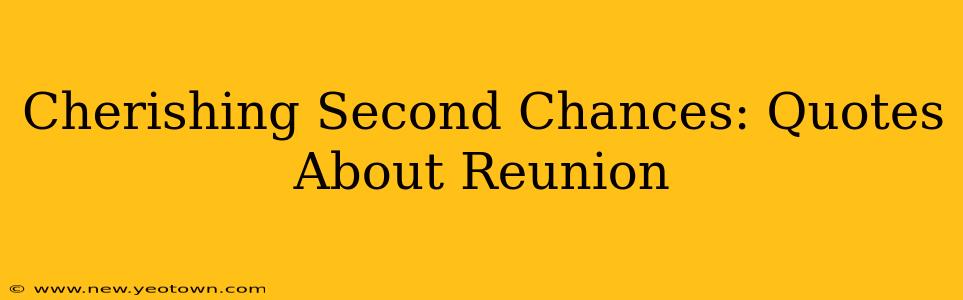 Cherishing Second Chances: Quotes About Reunion