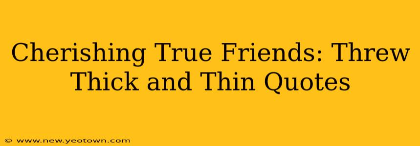 Cherishing True Friends: Threw Thick and Thin Quotes