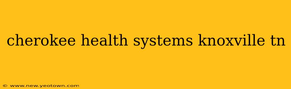 cherokee health systems knoxville tn
