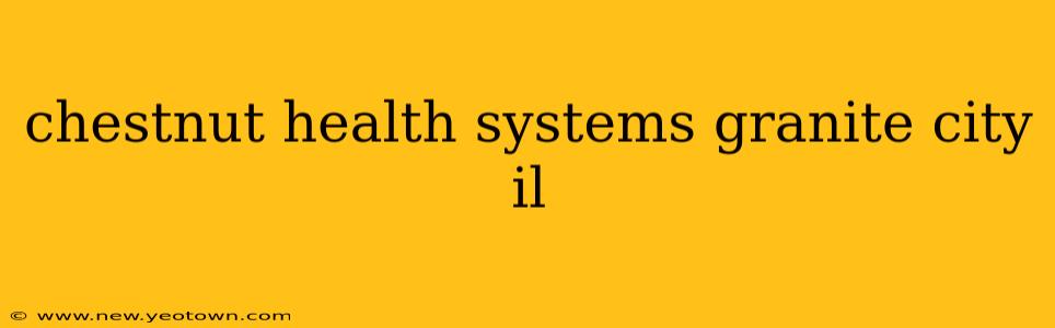 chestnut health systems granite city il