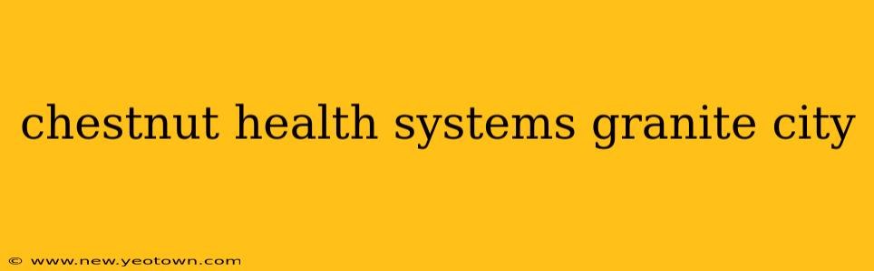 chestnut health systems granite city