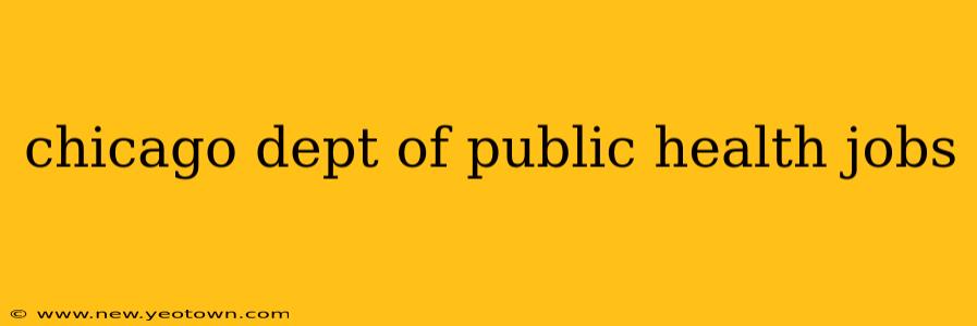 chicago dept of public health jobs