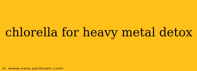 chlorella for heavy metal detox