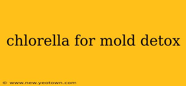 chlorella for mold detox