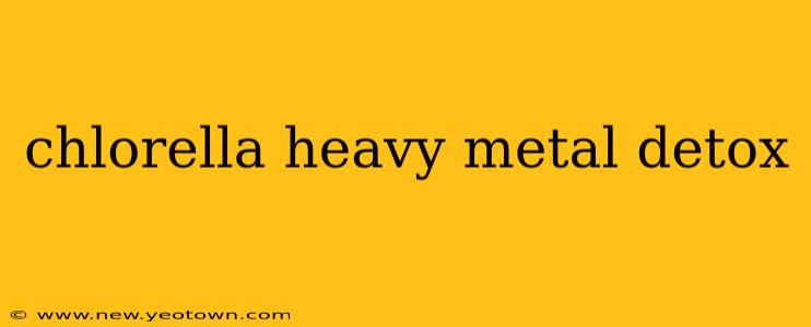 chlorella heavy metal detox