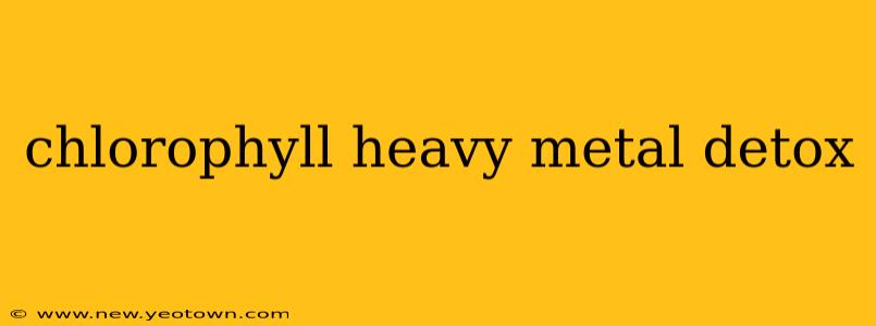 chlorophyll heavy metal detox