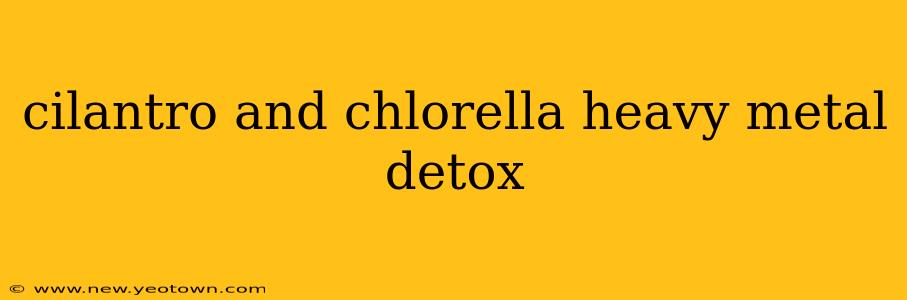cilantro and chlorella heavy metal detox