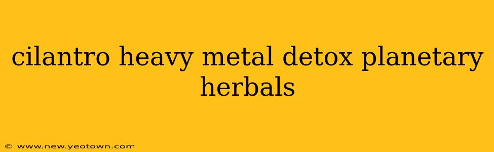 cilantro heavy metal detox planetary herbals