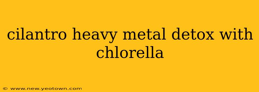 cilantro heavy metal detox with chlorella