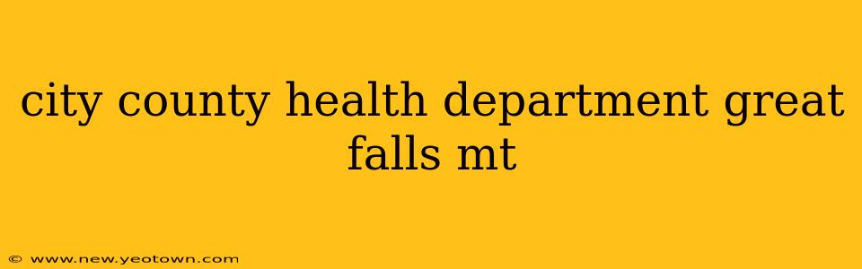 city county health department great falls mt