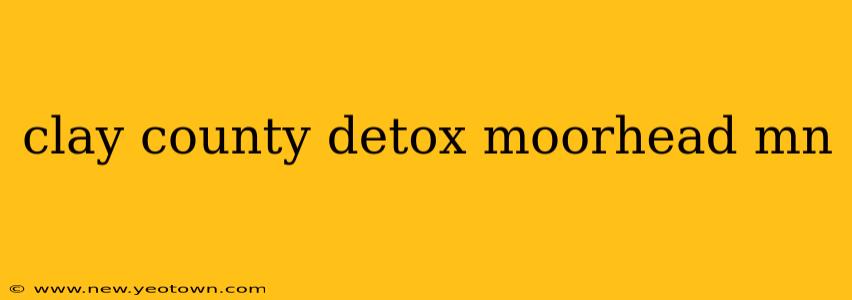 clay county detox moorhead mn