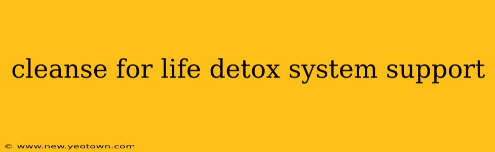 cleanse for life detox system support