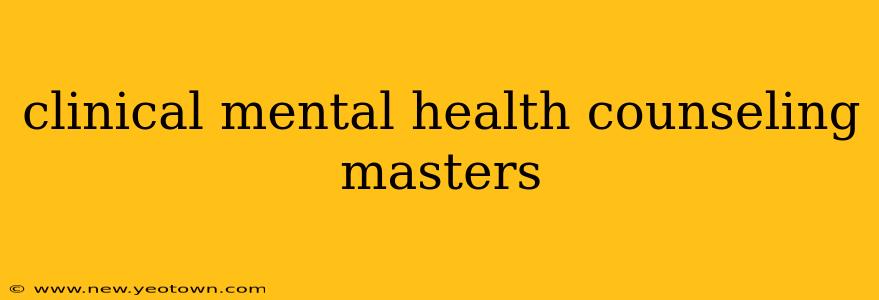 clinical mental health counseling masters