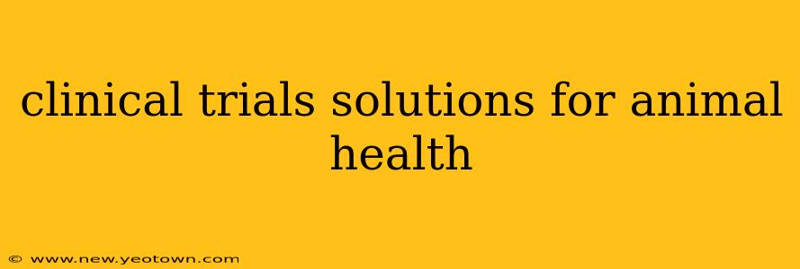clinical trials solutions for animal health