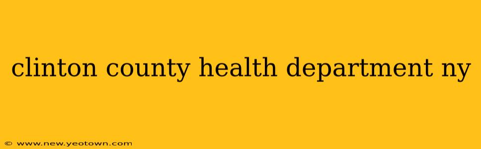 clinton county health department ny