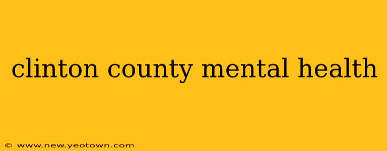 clinton county mental health