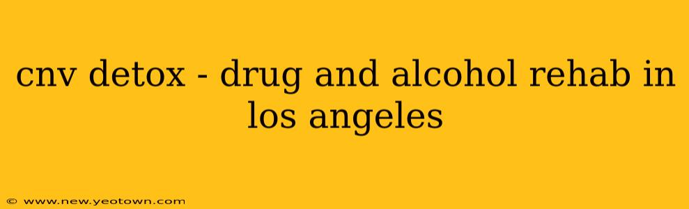 cnv detox - drug and alcohol rehab in los angeles