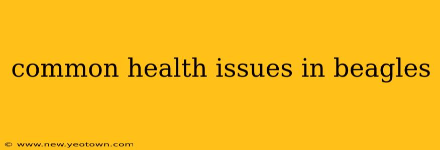 common health issues in beagles