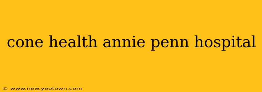 cone health annie penn hospital