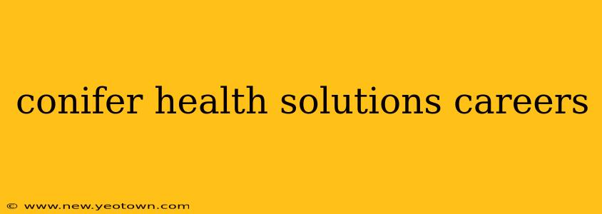 conifer health solutions careers