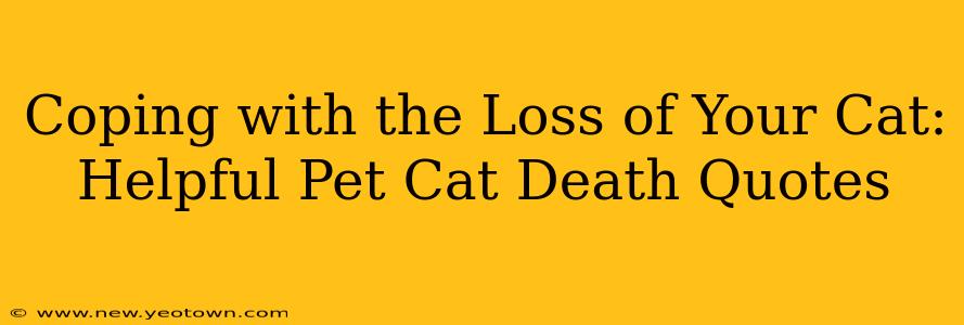 Coping with the Loss of Your Cat: Helpful Pet Cat Death Quotes
