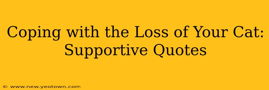 Coping with the Loss of Your Cat: Supportive Quotes
