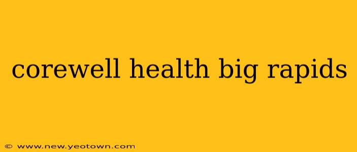 corewell health big rapids