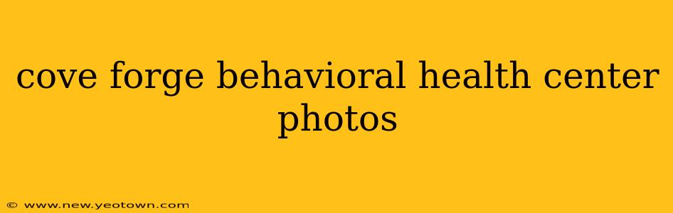 cove forge behavioral health center photos