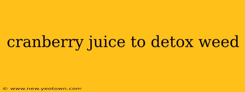cranberry juice to detox weed