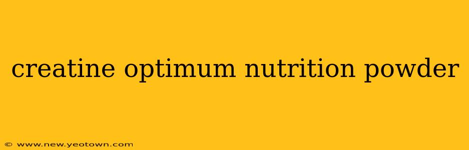 creatine optimum nutrition powder