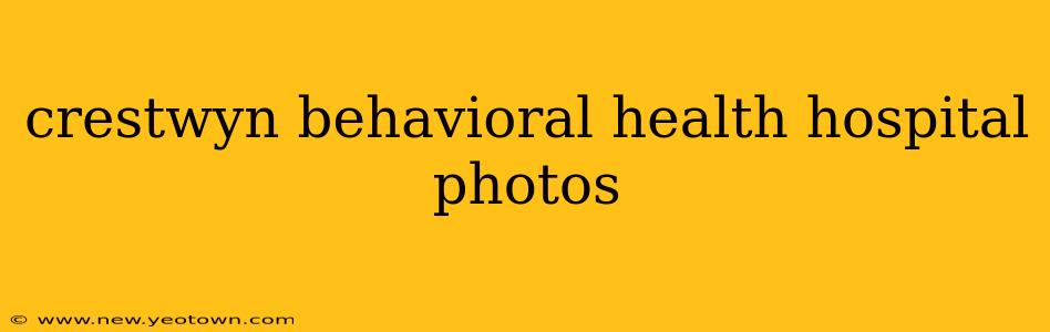 crestwyn behavioral health hospital photos