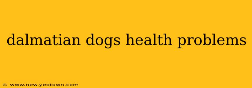 dalmatian dogs health problems